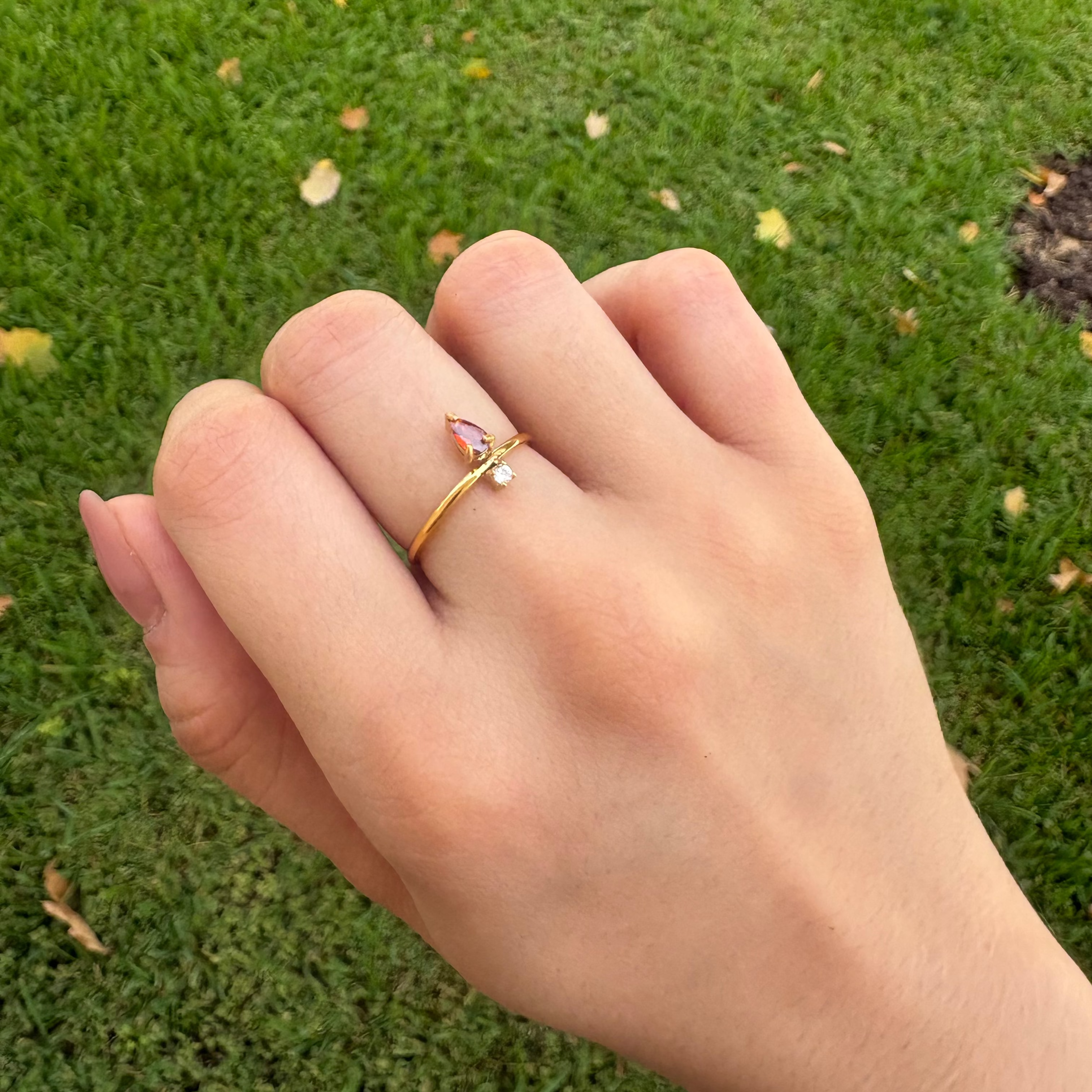 Anillo crown