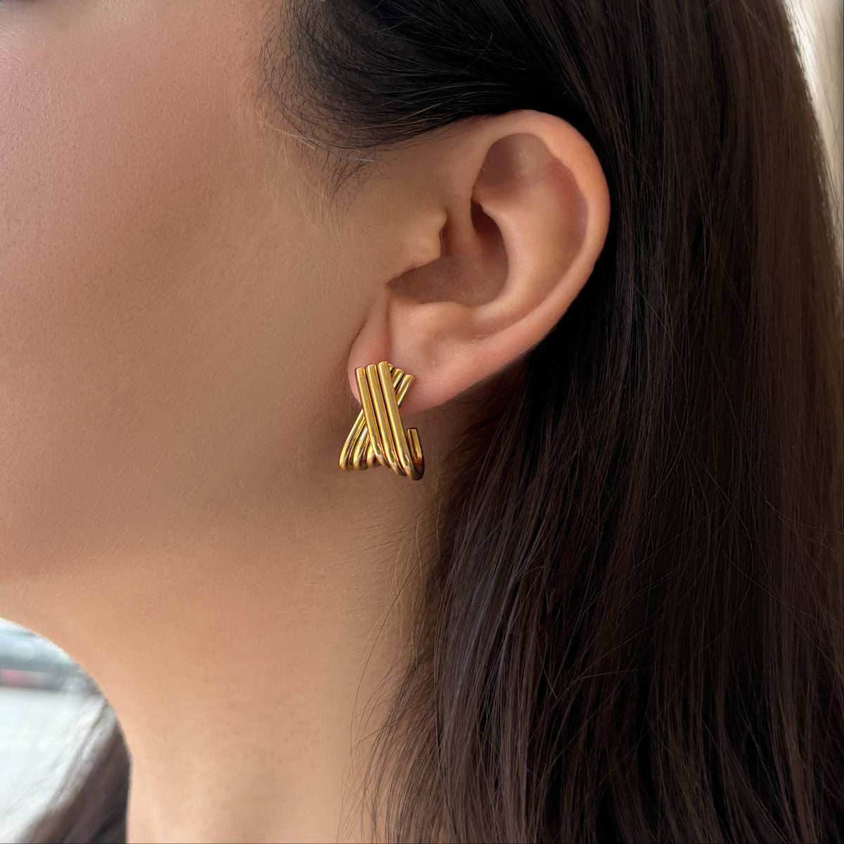 Aretes crox